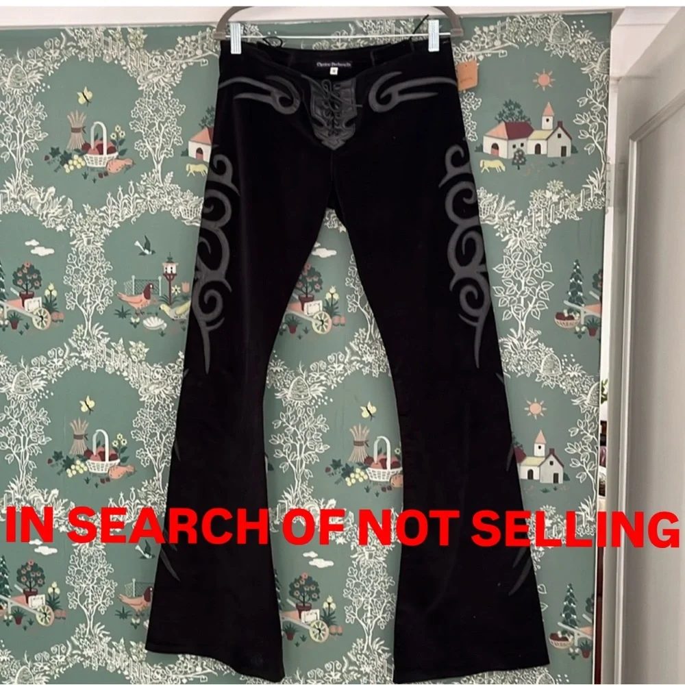 In search of Electric Barbarella Pants - Picture 1 of 4